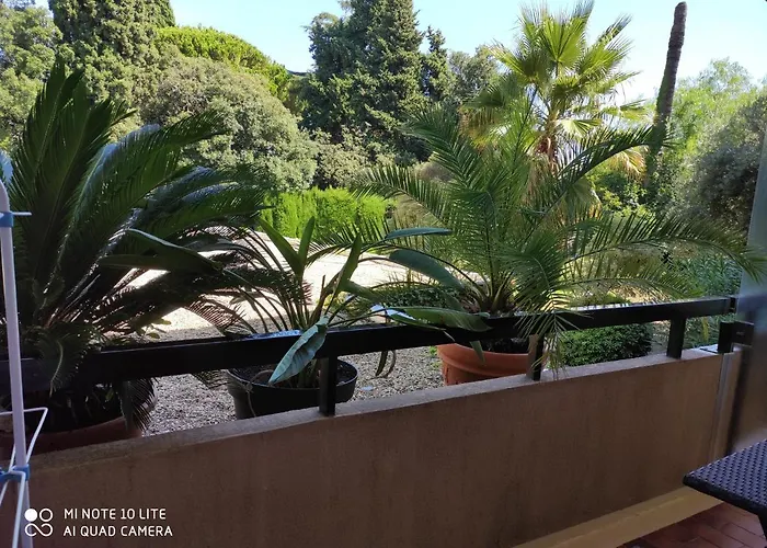 Residence Les Palmiers