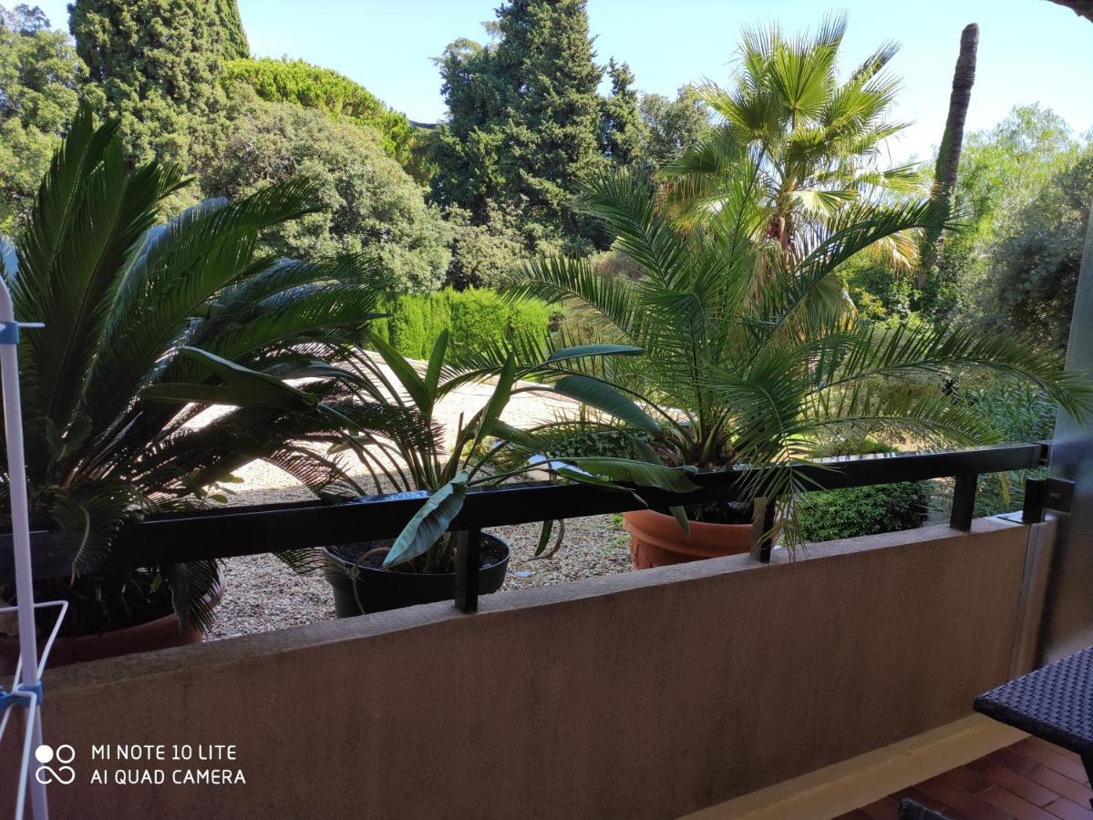 Les Palmiers * Nizza